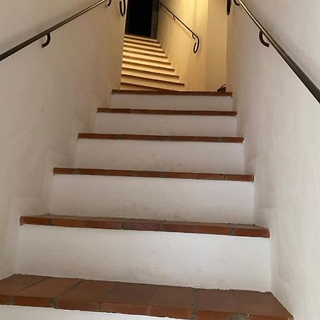La Ginestra - Terrazza Leilighet Orciatico Eksteriør bilde